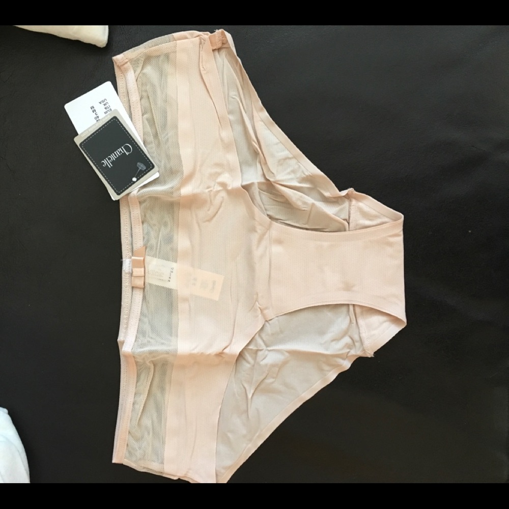 Chantelle Aeria seamless hipster in M